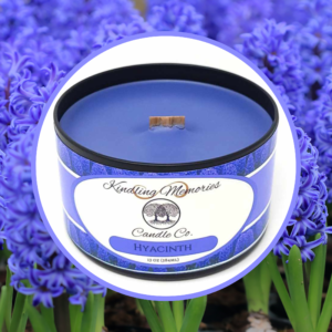 Blue candle in hyacinth field background.