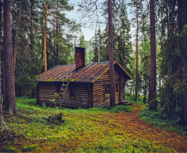 Hunting Cabin - Image 2