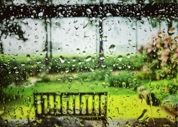 Summer Rain - Image 2