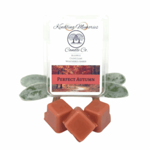 Perfect Autumn wax melts with leafy decoration.
