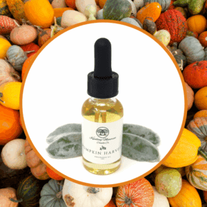 Pumpkin harvest oil bottle among colorful gourds.